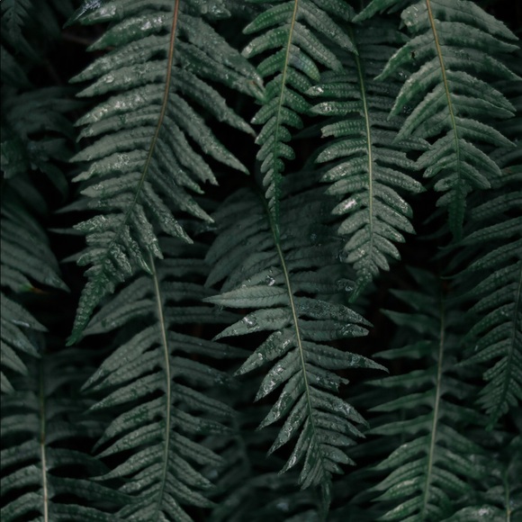 β’ a b o u t m e β’ - Picture 1 of 6